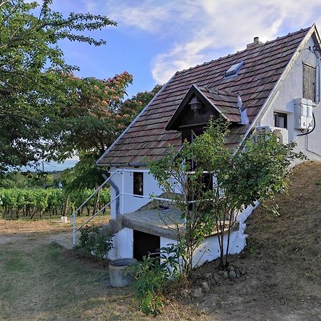 Kisház a szőlőhegyen Apartamento Balatonakali Exterior foto