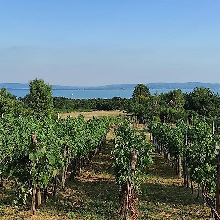 Kisház a szőlőhegyen Apartamento Balatonakali Exterior foto
