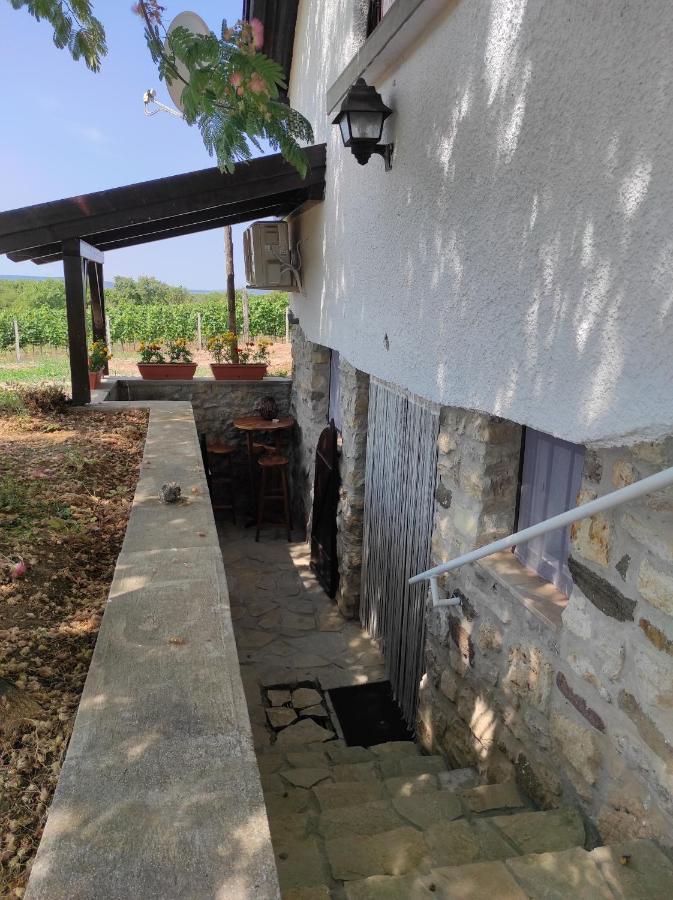 Kisház a szőlőhegyen Apartamento Balatonakali Exterior foto
