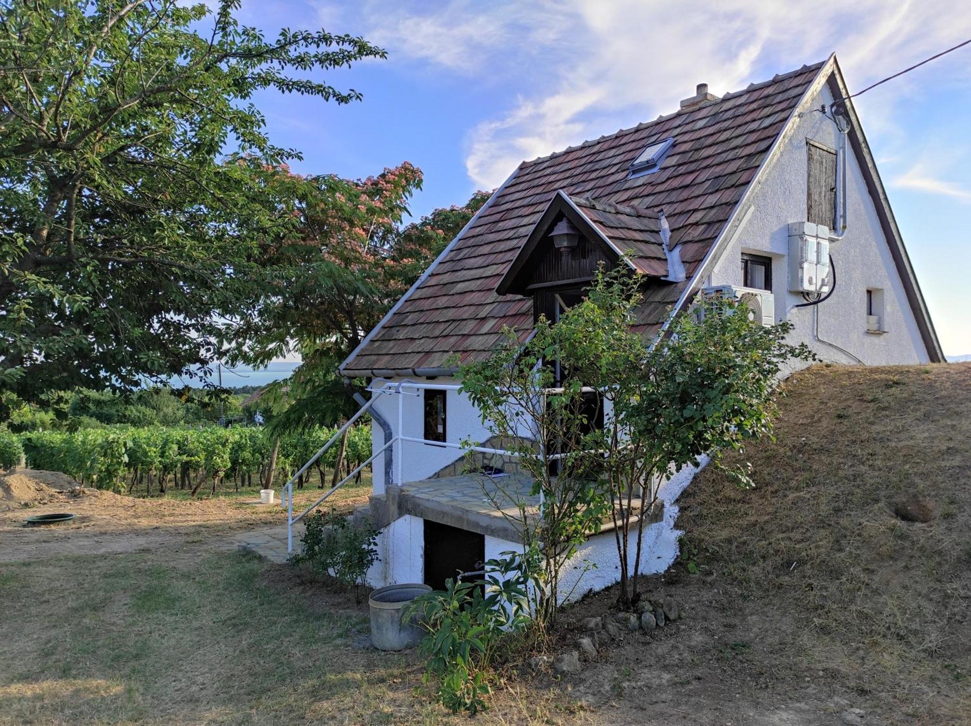 Kisház a szőlőhegyen Apartamento Balatonakali Exterior foto