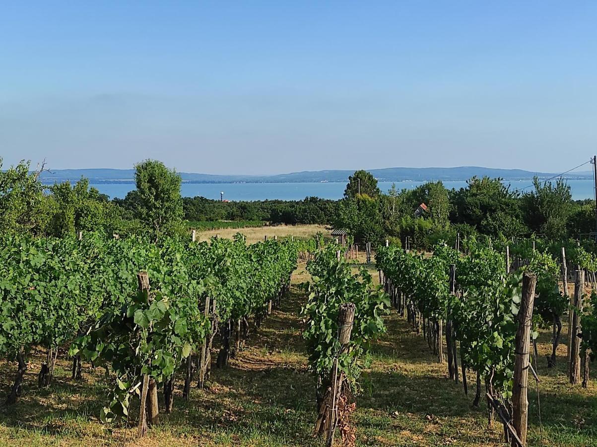 Kisház a szőlőhegyen Apartamento Balatonakali Exterior foto